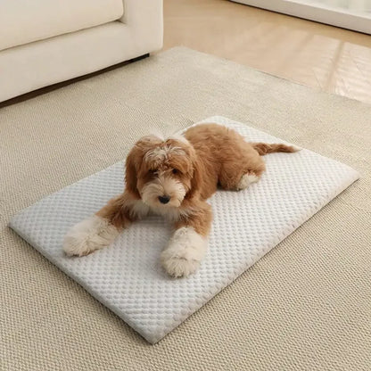 1pc Sponge Cooling Cat Bed, Thick Padding Comfortable Cool Breathable Cat Nest, Non-Slip And Washable Cooling Small Dog Bed, Suitable For All Seasons