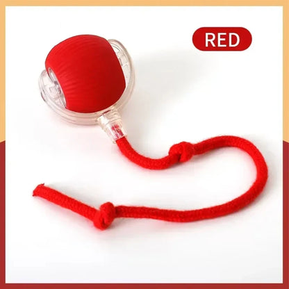 Self-satisfied cat toys that can be bitten by long-lasting smart cat balls automatically avoid pets with ropes and jump balls